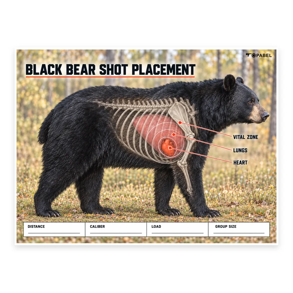 Full-Color Black Bear Hunting Practice Target with Highlighted Vital Zones