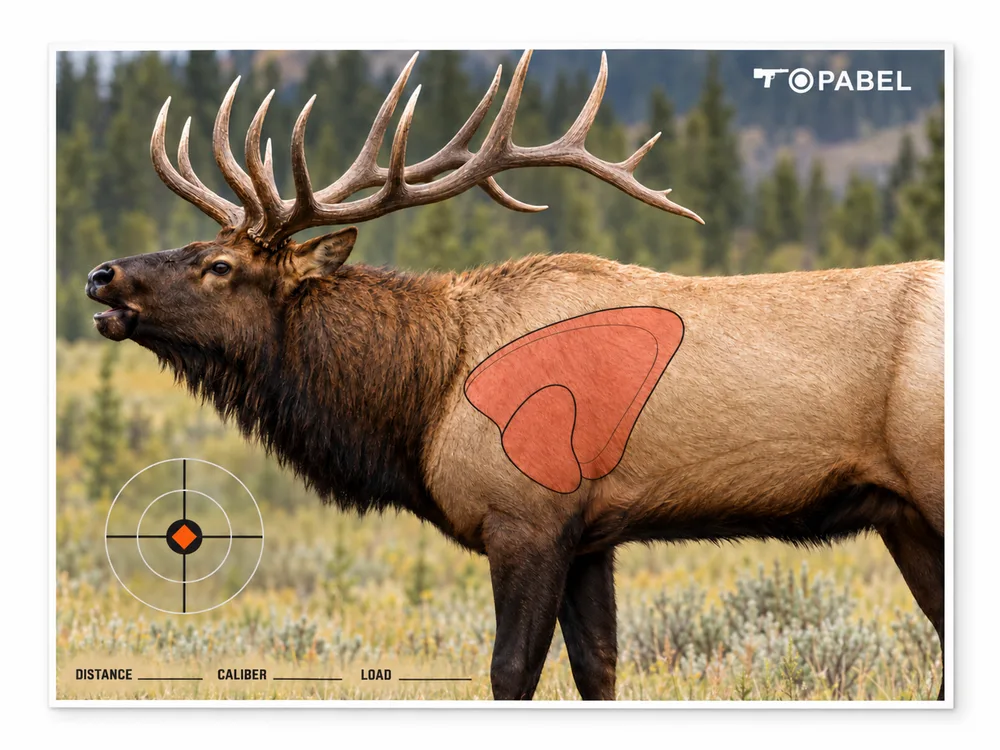 Full-Color Elk Hunting Practice Target with Highlighted Vital Zones
