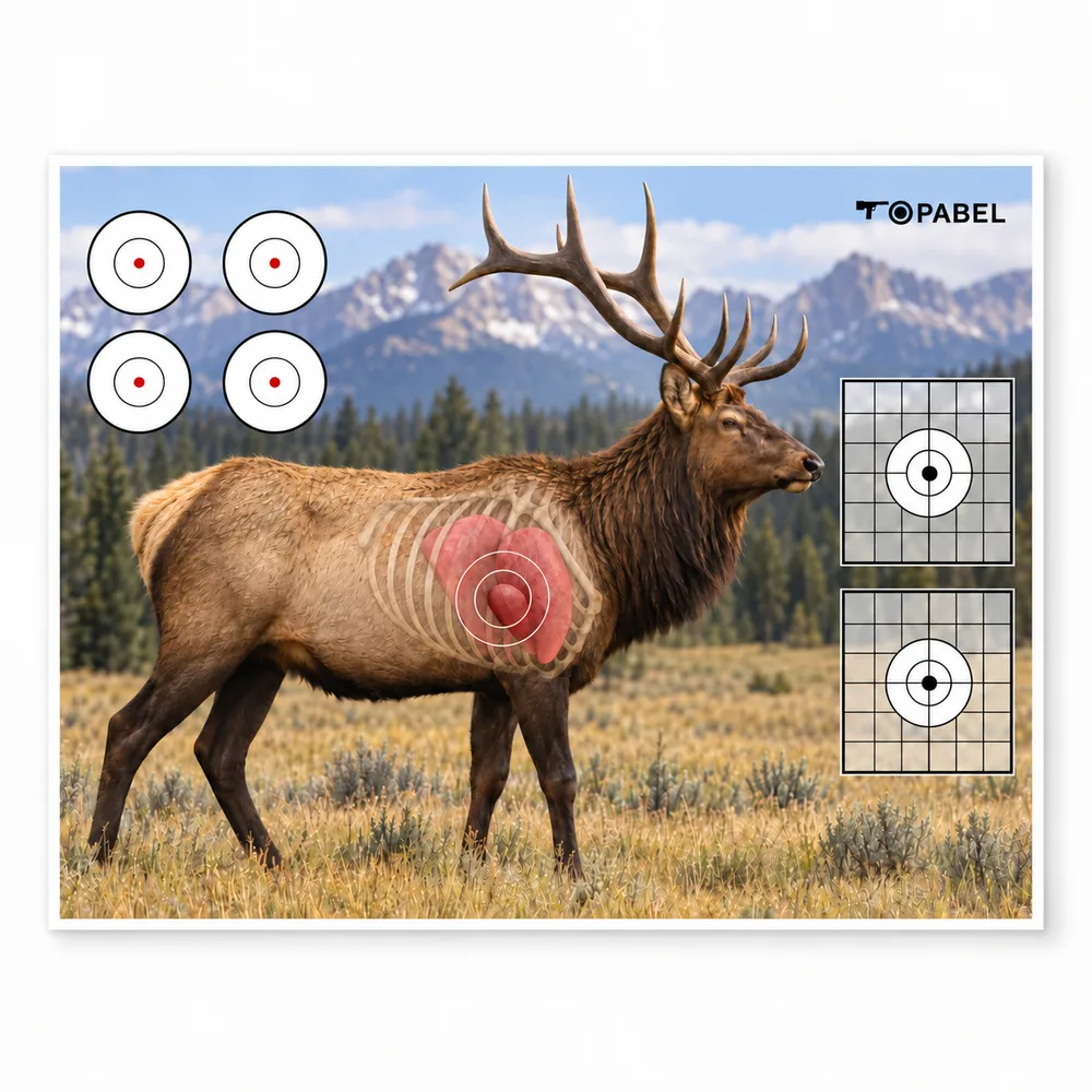 Full-Color Elk Hunting Practice Target with Highlighted Vital Zones